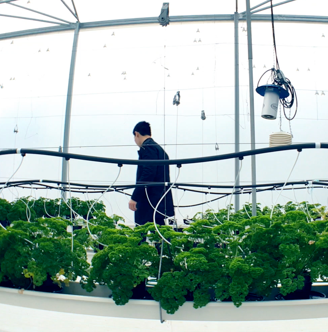 Vincent | World's First and Only Ultra Antioxidants | Vincent+